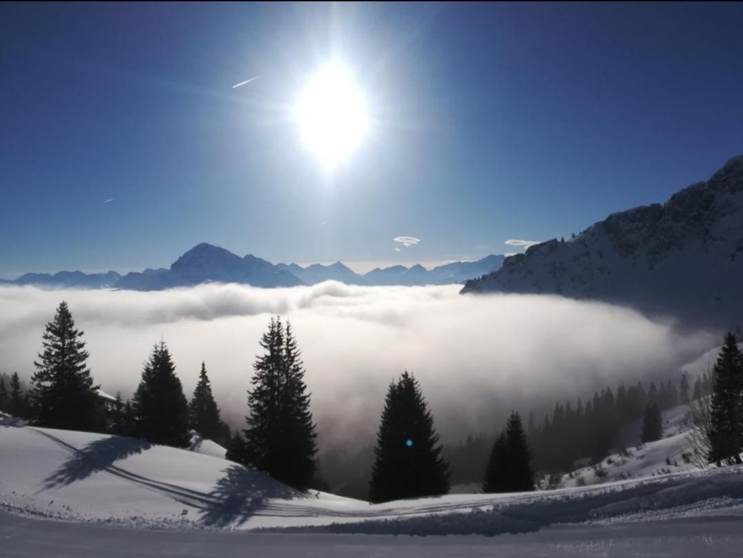 Panoramablick Apartman Breitenwang Kültér fotó