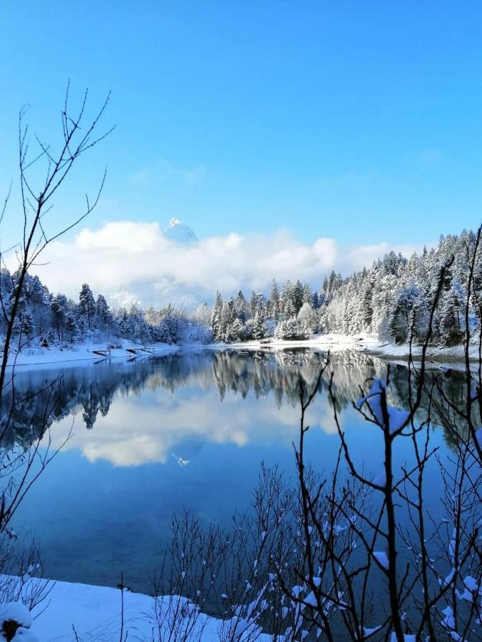 Panoramablick Apartman Breitenwang Kültér fotó
